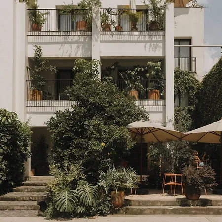 Casa Ofelia